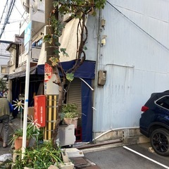 ぶどうの木、植物、蔓性植物、ぶどうの画像