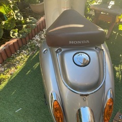 HONDA GIORNO の画像