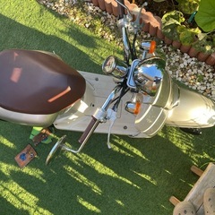 HONDA GIORNO の画像