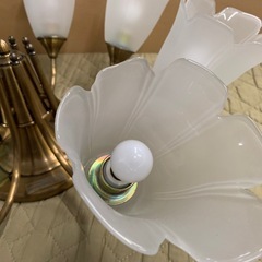 ※終了※DAIKO 花形 シャンデリア フラワー型シェード ランプ 8灯 ※商品の詳しいサイズや状態等は現物にてご確認ください。の画像