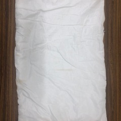 お昼寝？敷布団の画像