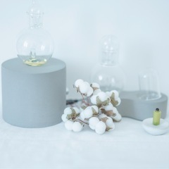 堺市　鳳　リラクゼーションセラピスト　日曜日　の画像