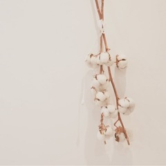 堺市　鳳　リラクゼーションセラピスト　日曜日　の画像