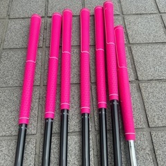 ワールドイーグル FL-01 V2 レディースゴルフクラブセット 10本 右の画像