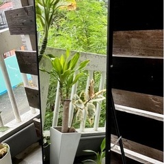 全身鏡の画像