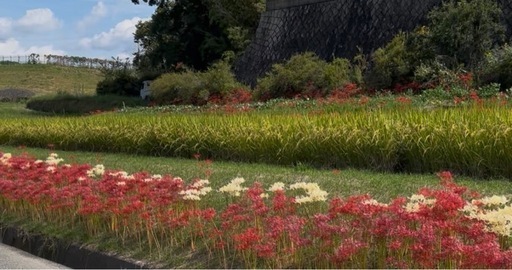 令和7年度　お米　30kg ①