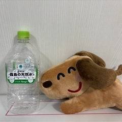 イラストやのぬいぐるみの画像