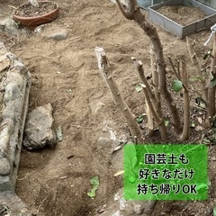 【まとめ売り】植木鉢いろいろ＋残土・庭石など 好きなだけどうぞの画像