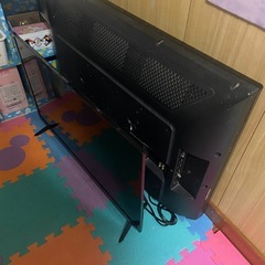 TV テレビの画像