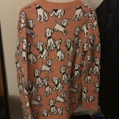 celine 22ss カーディガン　エイミー・ドリアン の画像