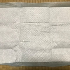 ☆猫ちゃん用 木製ペレットトイレチップ11kg トイレシート約170枚☆の画像