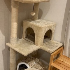 キャットタワー無料でお譲りしますの画像