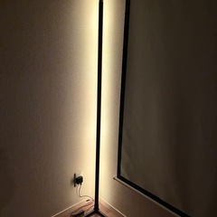 RGBIC LED Corner Floor Lamp
の画像