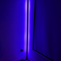 RGBIC LED Corner Floor Lamp
の画像