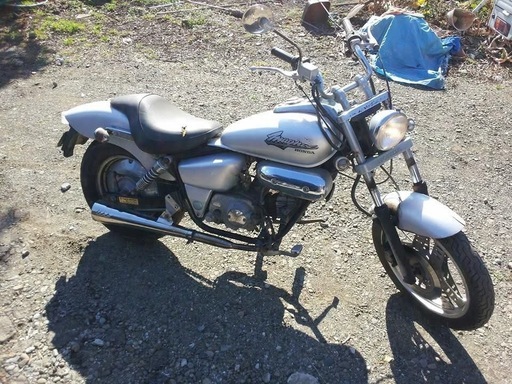 緊急！引き取り来れる方のみ！ﾏｸﾞﾅ50！