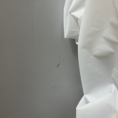 【取引予定者あり】【11.2お渡し】シャープ 一人暮らし 2ドア冷蔵庫 SJ-D15H-W 152Lの画像