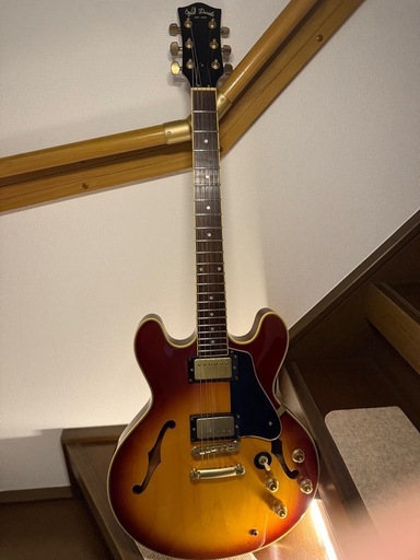 決まりました
J&G Daniels EST.1973 セミアコタイプ エレキギター【希少】