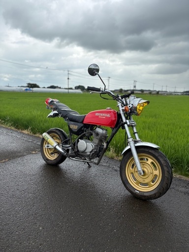 エイプ50 エンジン絶好調⭕️