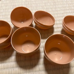 卵型ケースの画像