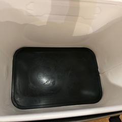 サンライン　バッカン　釣りの画像