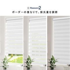 早い者勝ち📍【カーテンレール取り付け可能】調光ロールスクリーン チェーン式 遮光の画像