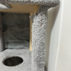 キャットタワーお譲りしますの画像
