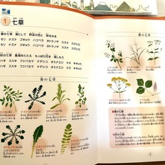 七田式 社会科ソング・理科ソングの画像