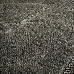 ヴェルファイア　2列目フロアマット　　　の画像
