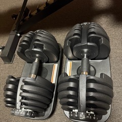 可変ダンベル、ベンチ台セットの画像