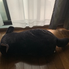 ネコちゃんクッション　６０センチ！の画像
