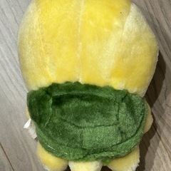 かめの画像