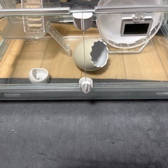 グラスハーモニー600
の画像