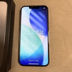 【バッテリー新品】iPhone13 Pro 256GBの画像