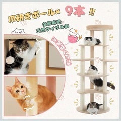 キャットタワーの画像
