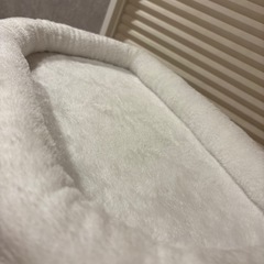 キャットタワーの画像