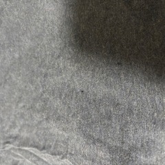 カーハート　Tシャツの画像