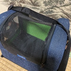 美品　小動物キャリーバッグの画像