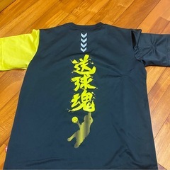 🤾‍♂️ハンドボール　トランジスタ ヒュンメルの画像