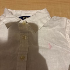 polo綿100%の画像