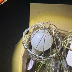 ライト×6の画像