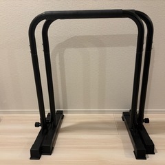 STEADYのディップスバーの画像