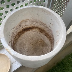 9号程度　植木鉢　マット　ホワイト　白　プランター　陶器　の画像