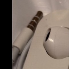 間違えて購入したイヤホンの画像