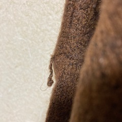 タートルネックセーターの画像