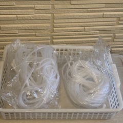 SUKメダカ🐟　ラスト★増やしてPSB、エアチューブなどなどの画像