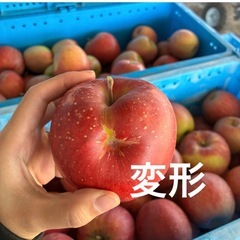 長野県産　シナノスイート　家庭用りんごの画像
