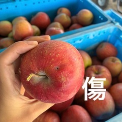 長野県産　シナノスイート　家庭用りんごの画像