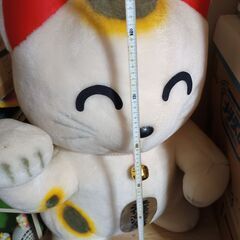 【無料】猫のぬいぐるみの画像
