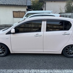 ミライースの画像