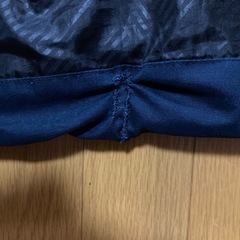 TS DESIGNベストの画像